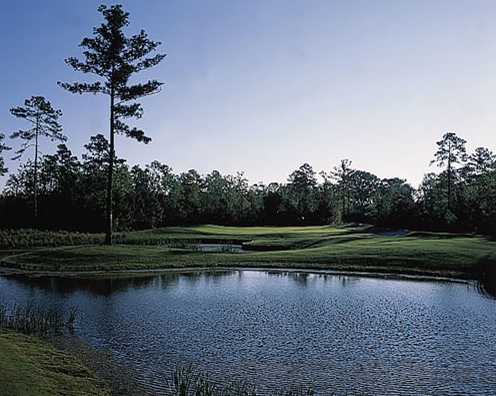 Eagle's Pointe GC: View from the 8th hole