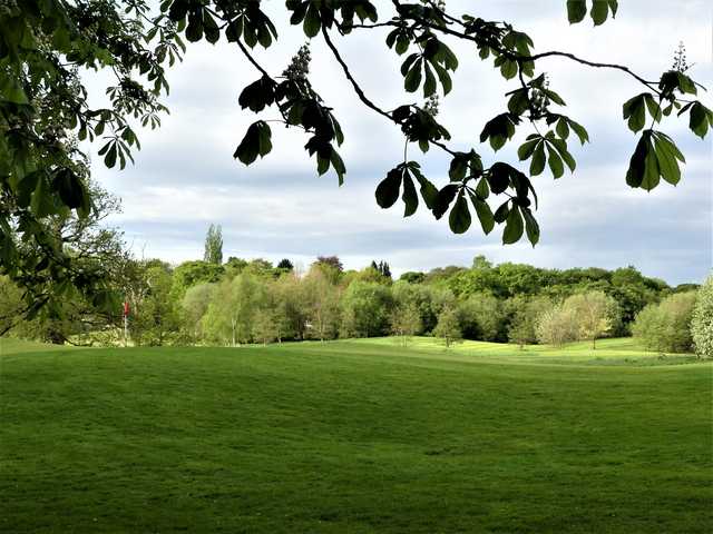 A view of a hole at Delta Hotels by Marriott Worsley Park Country Club.