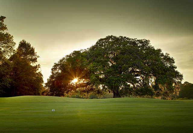 Sunny view from Old South Golf Links