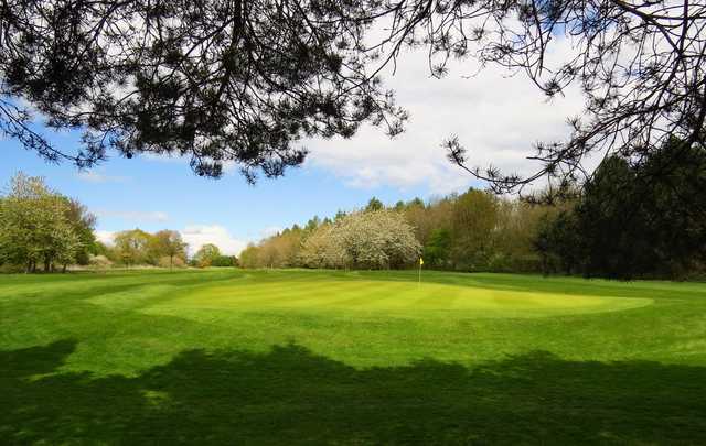 A spring day view of a green at Whipsnade Park Golf Club.