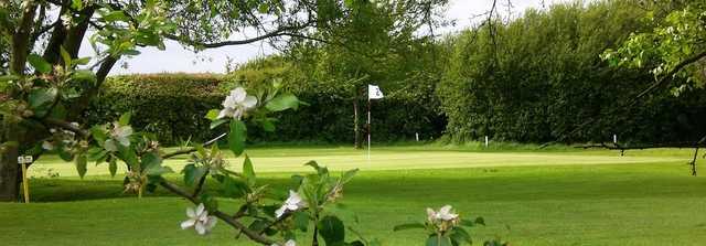 A view of a green at Melton Mowbray Golf Club.