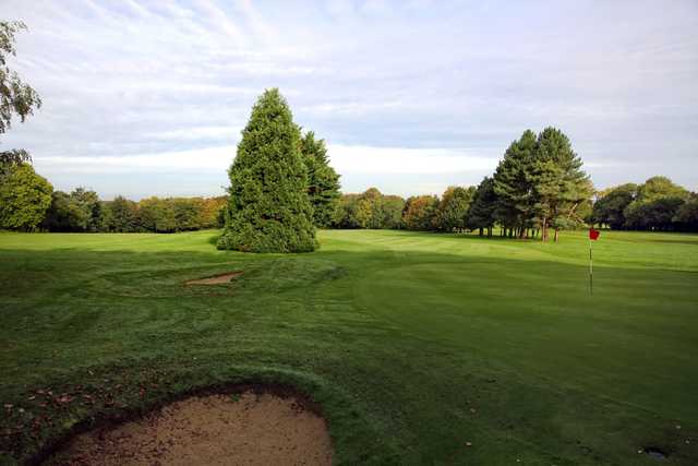 A view of a green protected by bunkers at The Norwich Golf Club.