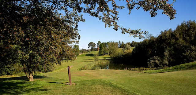 A view of a tee at Hellidon Lakes Golf & Spa Hotel.