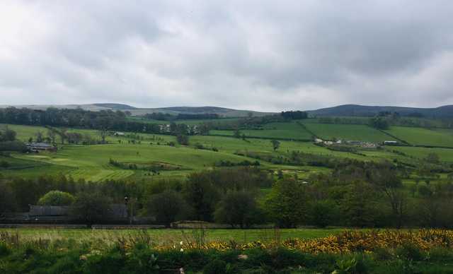 A morning day view from Rothbury Golf Club.