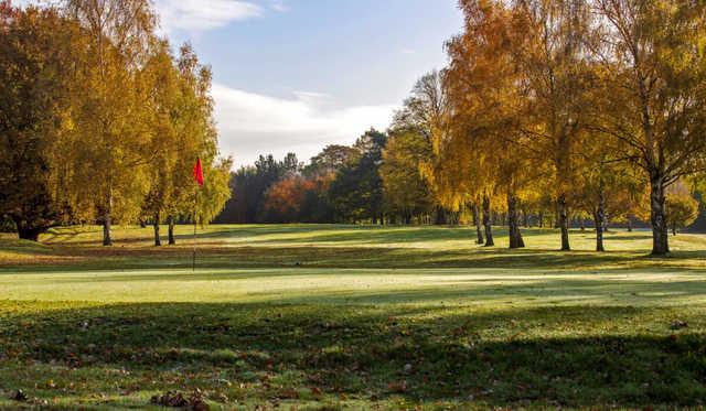 A splendid fall day view of a green at Serlby Park Golf Club.