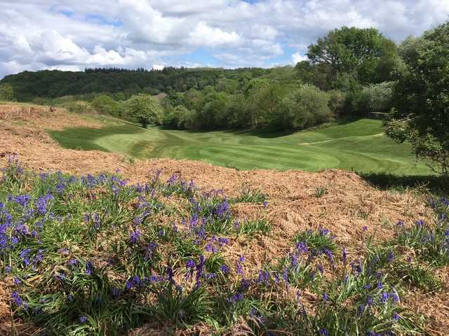 View of the 16th green at Herefordshire Golf Club.