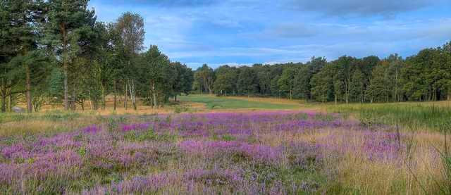 A view of a fairway at Sherwood Forest Golf Club.