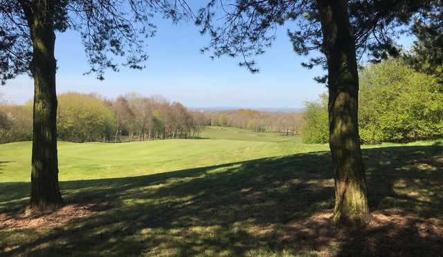 A sunny day view of a green at Shropshire Golf Centre.