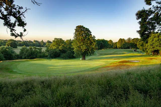 A sunny day view of a green at Betchworth Park.