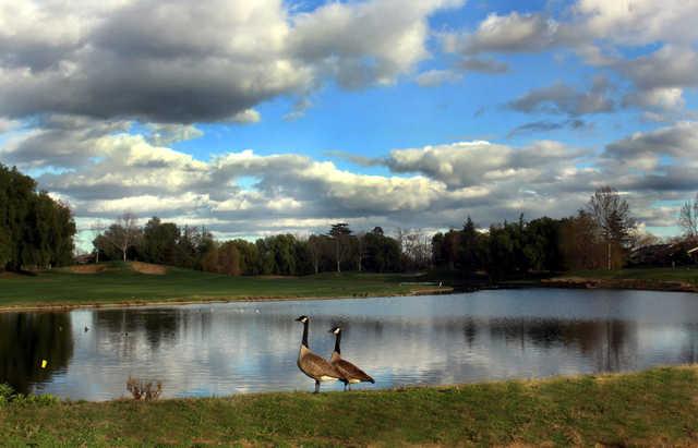 A view from Brentwood Golf Club.