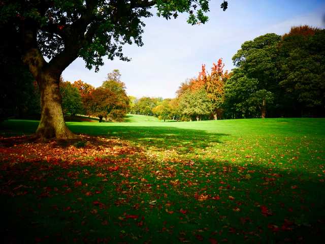 A fall day view from Crow Nest Park Golf Club.