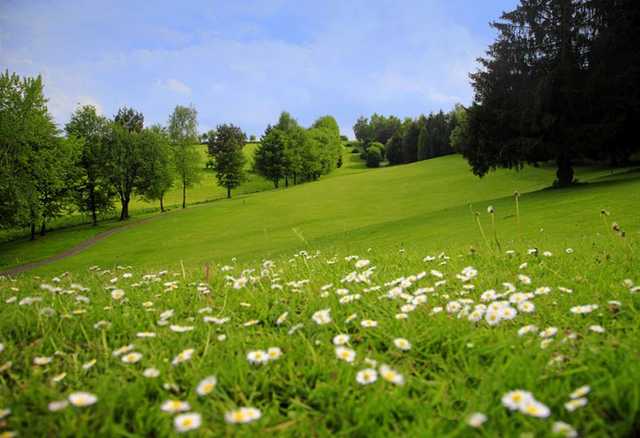 A view of fairway #8 at Schloss Georghausen Golf Club