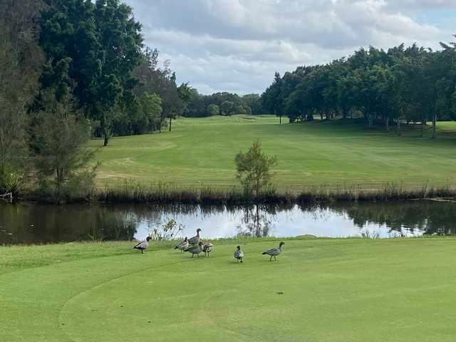 Riverlakes Golf Course Reviews Course Info GolfNow Riverlakes Golf Course Reviews Course Info GolfNow