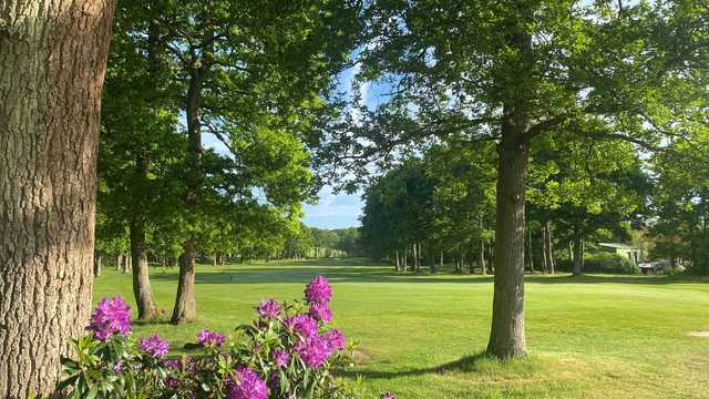 A view from Drift Golf Club.