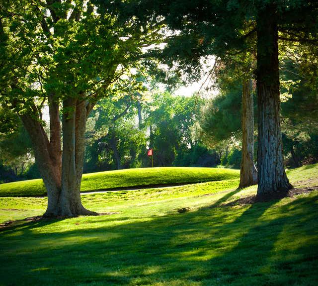 View of a green at Bidwell Park Golf Course.