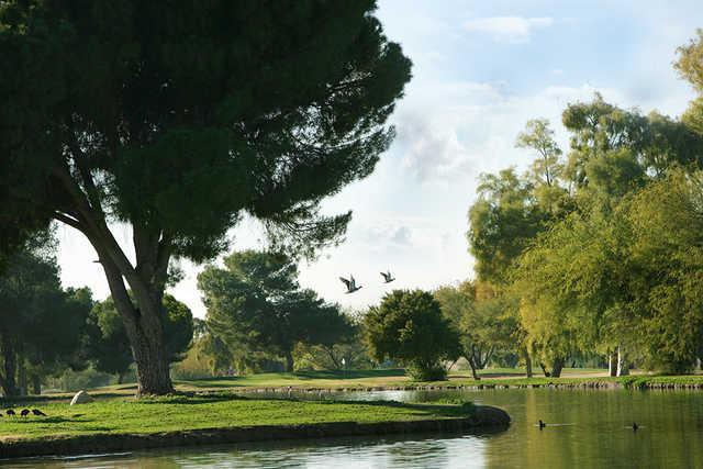 A view over the water of green at Paradise Valley Golf Course
