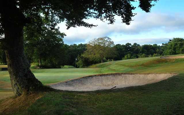 A view of hole #15 at Carluke Golf Club.