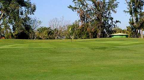 A view of a green at Miami Springs Golf & Country Club