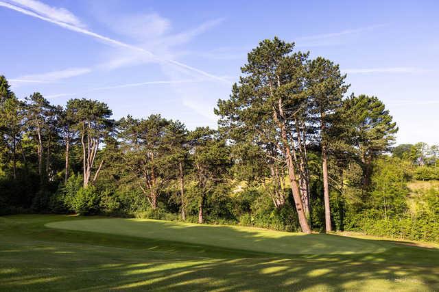 View of a green at North Downs Golf Club.