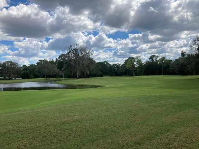 A view from Freedom Fairways.