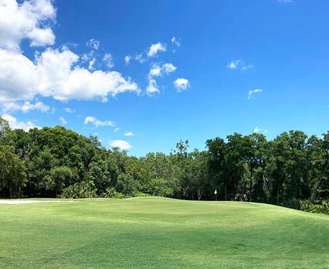 View of a green at Halifax Plantation.