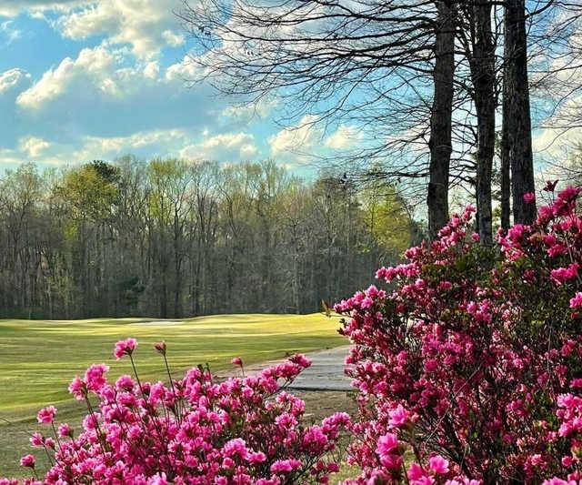 A view from Bear Creek Golf Club.