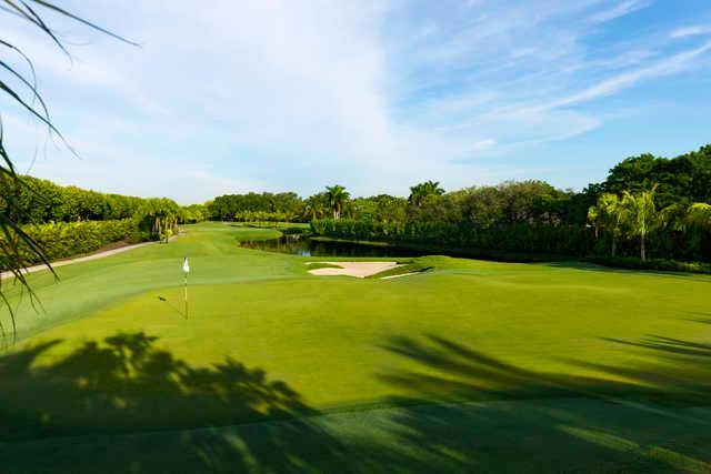 Looking back from the 15th green at Trump National Doral Miami - Golden Palm Course.