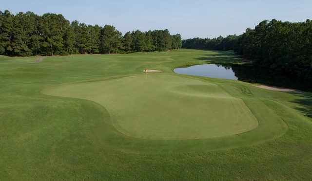 View of the 15th green from the Avocet Course at Wild Wing Plantation.