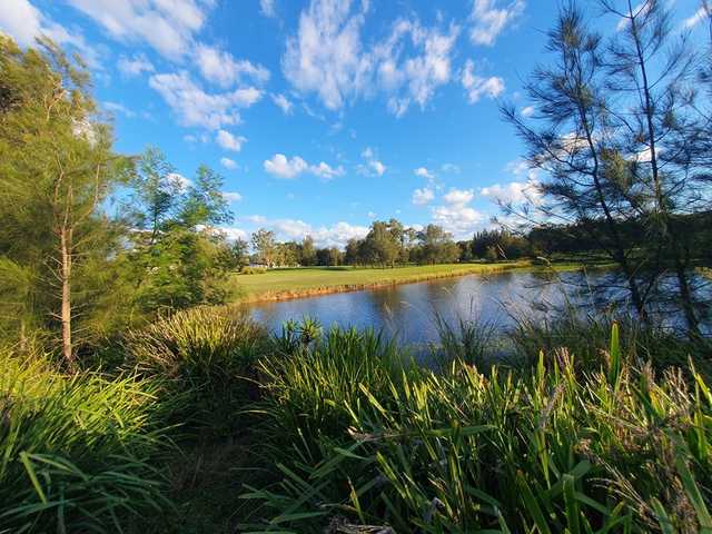 A view from Beresfield Golf Course.