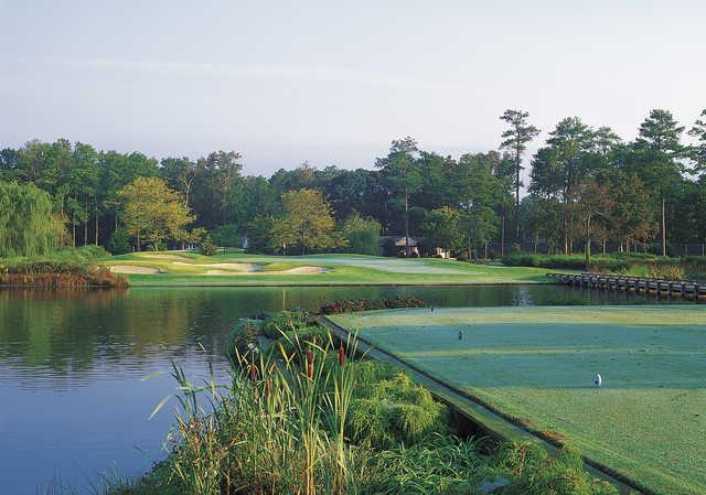 Discover Rehoboth Beach Golf Courses: Your Ultimate Guide