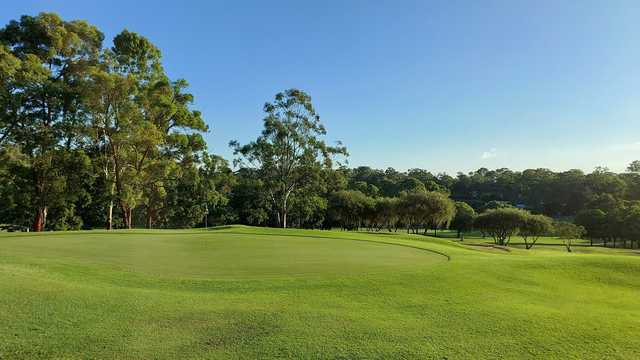 Pine Rivers Golf Club - Reviews & Course Info | GolfNow