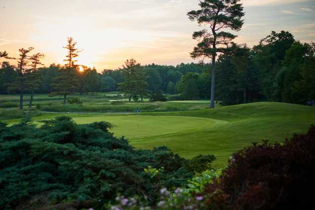 View of a green  from Century Pines Golf Club.