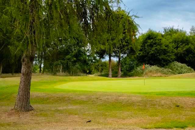 View of a green at The Mount Golf & Country Club.