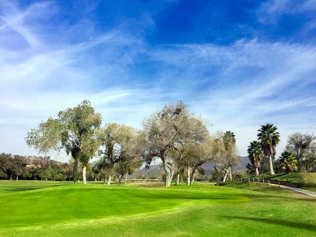 View of a green at Cottonwood Golf Club.