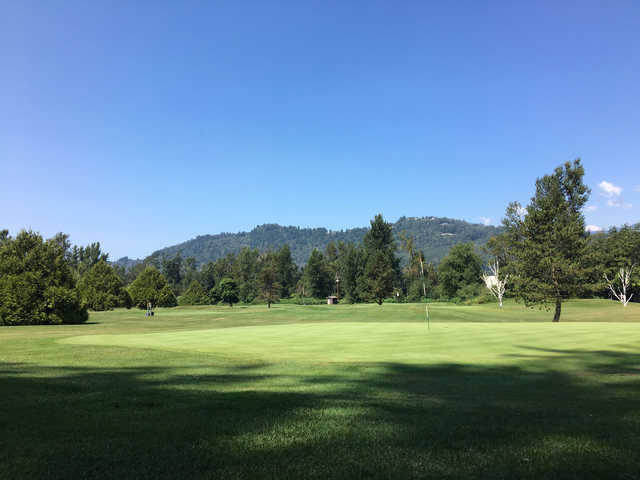 View of a green from Cheam Mountain Golf Course.