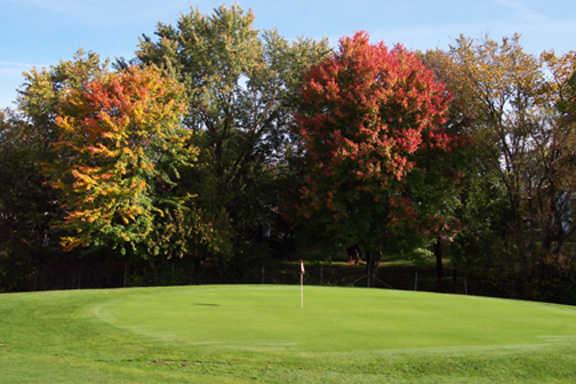 A view of the 5th green at Sterling Park Golf Club (Pam McIntyre)