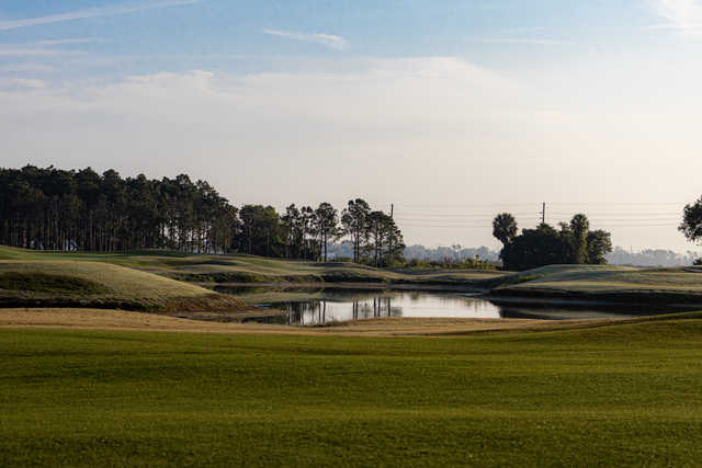 Buffalo Creek Golf Course Tee Times Palmetto FL