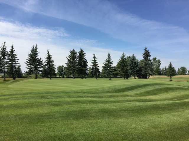 View of a green at Nursery Golf and Country Club.