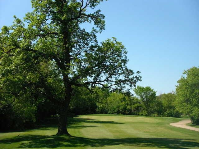 A view from La Broquerie Golf Course.