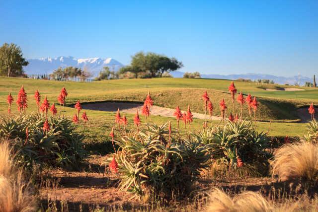 A view from Samanah Country Club.