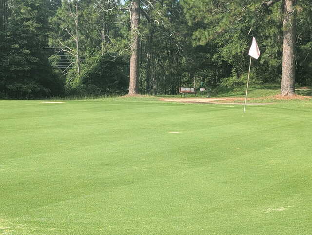 View from a green at Pine Needles Country Club.