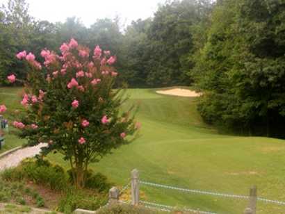 A view from Lake Ridge Park Golf & Marina