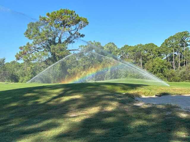 A view from St. Joseph Bay Golf Club