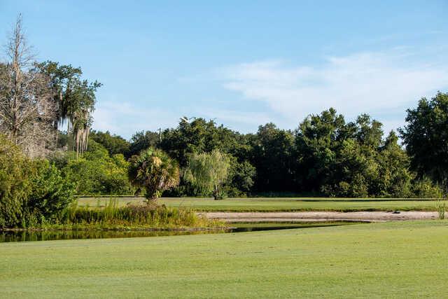 A view from Bartow Golf Course.