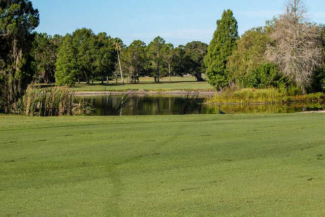 A view from Bartow Golf Course.