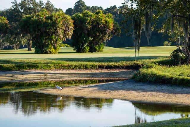 View of a green from Bartow Golf Course.