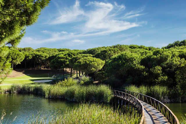 A view from The Alto Club Golf & Academy