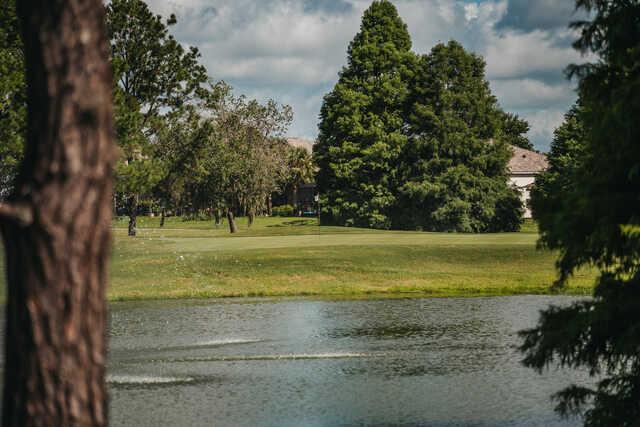 View of a green from Plantation Palms Golf Club.