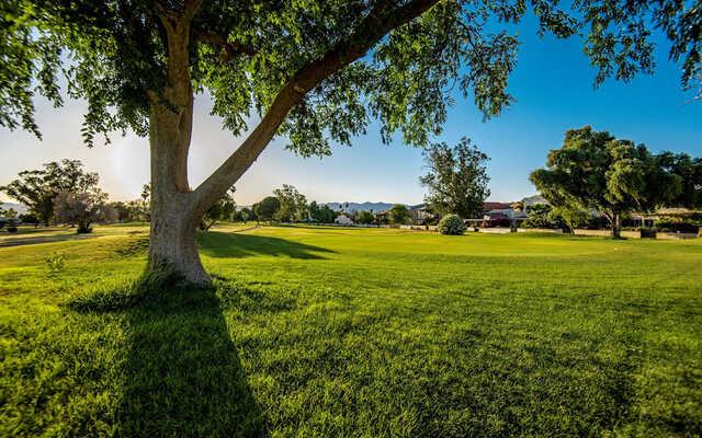 A sunny day view of a hole at Chaparral Country Club.