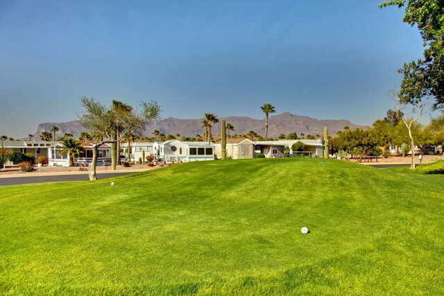 A view of a tee at Gold Canyon RV & Golf Resort.